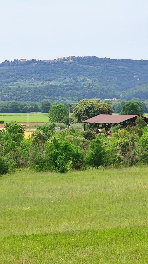 Joli Appartement Dans Village Calme En Provence Les Mées Екстериор снимка