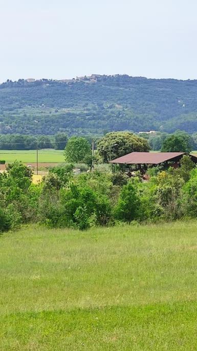 Joli Appartement Dans Village Calme En Provence Les Mées Екстериор снимка